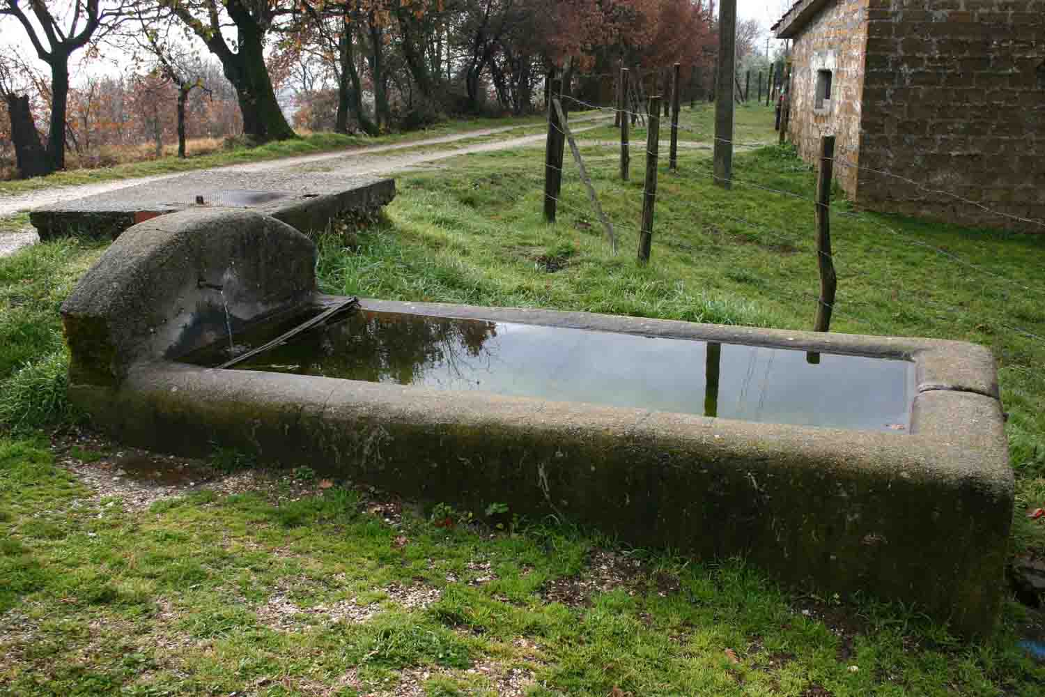 Fontanili del Lazio